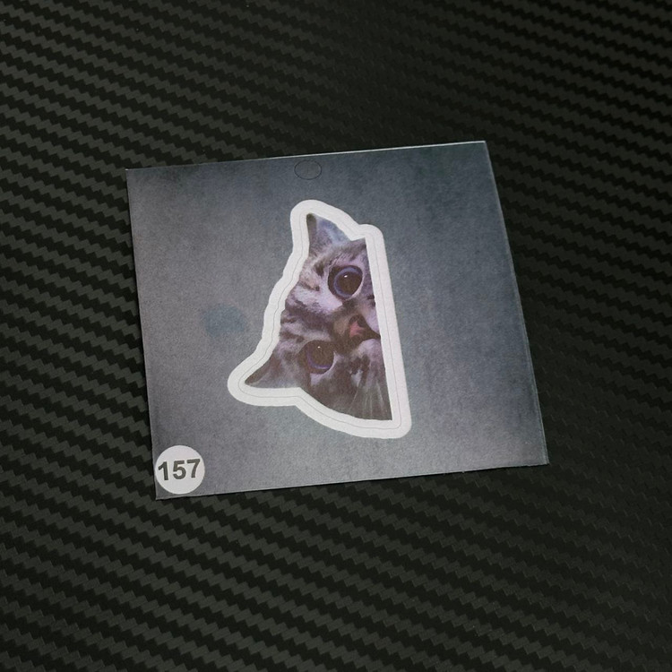 استیکر گربه برند استیکر لئو مدل گربه کیوت کد ۱۵۷