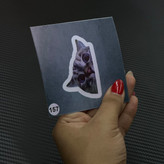 استیکر گربه برند استیکر لئو مدل گربه کیوت کد ۱۵۷